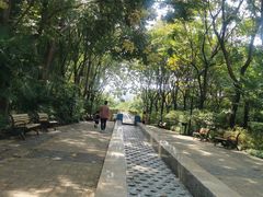 -苏州河梦清园环保主题公园