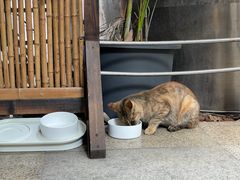 -灶咖KITCHEN