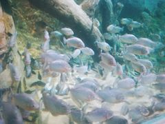 -临沂极地海洋王国