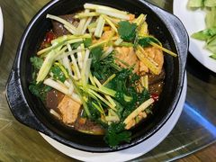 -杨氏青龙虾·羊蝎子(托乐嘉店)