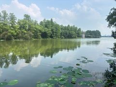-东湖落雁景区