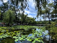 -承德避暑山庄景区