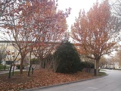 -北京国家会计学院