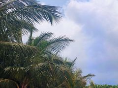 -深圳湾公园(南山区)
