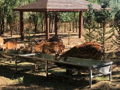 -亿利库布其七星湖沙漠生态旅游区