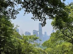 -南山植物园