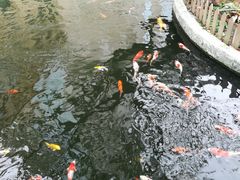 -番禺宾馆丽苑厅