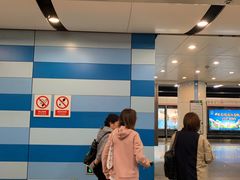-大望路(地铁站)