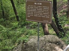 -句容茅山景区