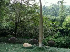 -广东温泉宾馆