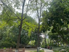 -成都市活水公园