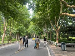 -石家庄市动物园