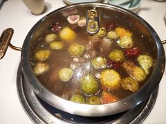 -洪氏嗨捞·猪肚鸡火锅(阳光天地店)