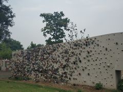 -济南国际园博园