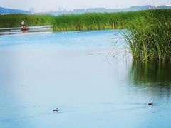 -苏州吴中太湖旅游区