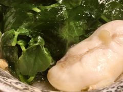 -孔庆璞河豚馆(白玉兰酒店)