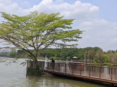 -海珠湖公园