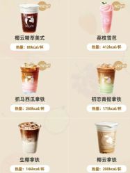 -Fundi张玉珊修身堂·indiba·BTL科技瘦身
