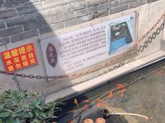 -燕喜堂·中华老字号(大明湖店)