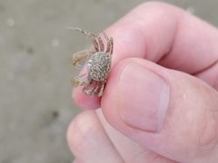 -北海金海湾红树林生态旅游区