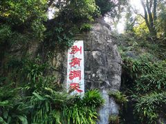 -深圳仙湖植物园