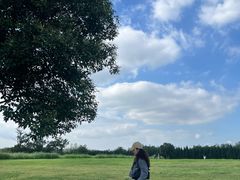 -汉长安城未央宫国家考古遗址公园