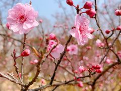 -白塘生态植物园