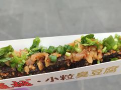 -董顺桃老长沙臭豆腐(步行街店)