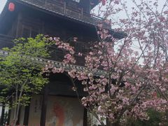 -观唐（国际）度假村温泉