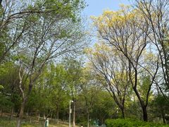 -燕郊植物园