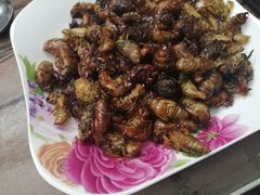 -龍歌自助小火锅(城阳万象汇店)