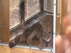 -大连森林动物园