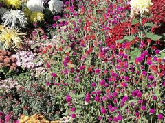 -唐山抗震纪念碑广场