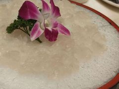 -沙龙酒家