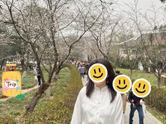 -武汉大学-樱园