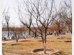 -永定河休闲森林公园