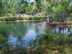 -长白岛森林公园