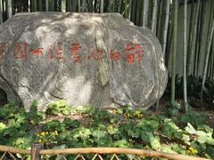 -上海醉白池公园