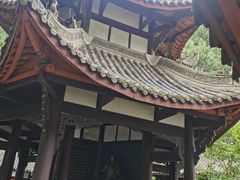 -子昂故里文化旅游区