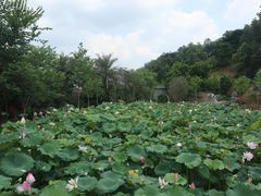-龙门水都景区