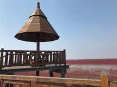 -红海滩国家风景廊道