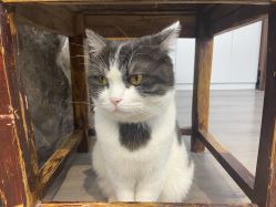 -塞巴斯汀SEBASTIAN专业美发店