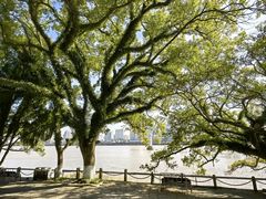 -江心屿景区