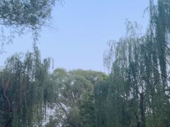 -济南大明湖景区