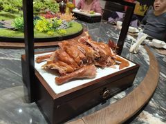 -大连湾旭日·家宴·海肠捞饭(马栏广场店)