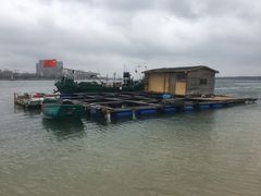-东郊椰林