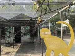 -苏州太湖西山岛开心农场