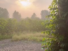 -安德鲁户外烧烤帐篷营地(马泉营店)