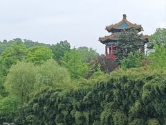 -重庆园博园