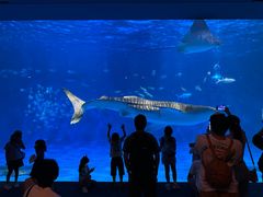-鹿儿岛水族馆